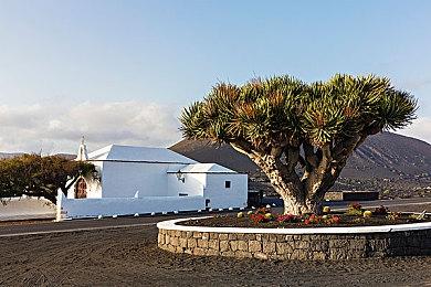玩家支持《泰拉瑞亚》更新档跳票：只要好好做就行